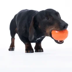 TIAKI Waterballoon -koiranlelu