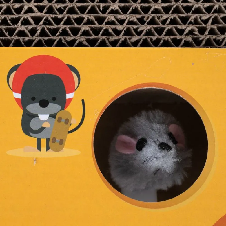 TIAKI Whack-a-mole 2 in 1 -kissanlelu