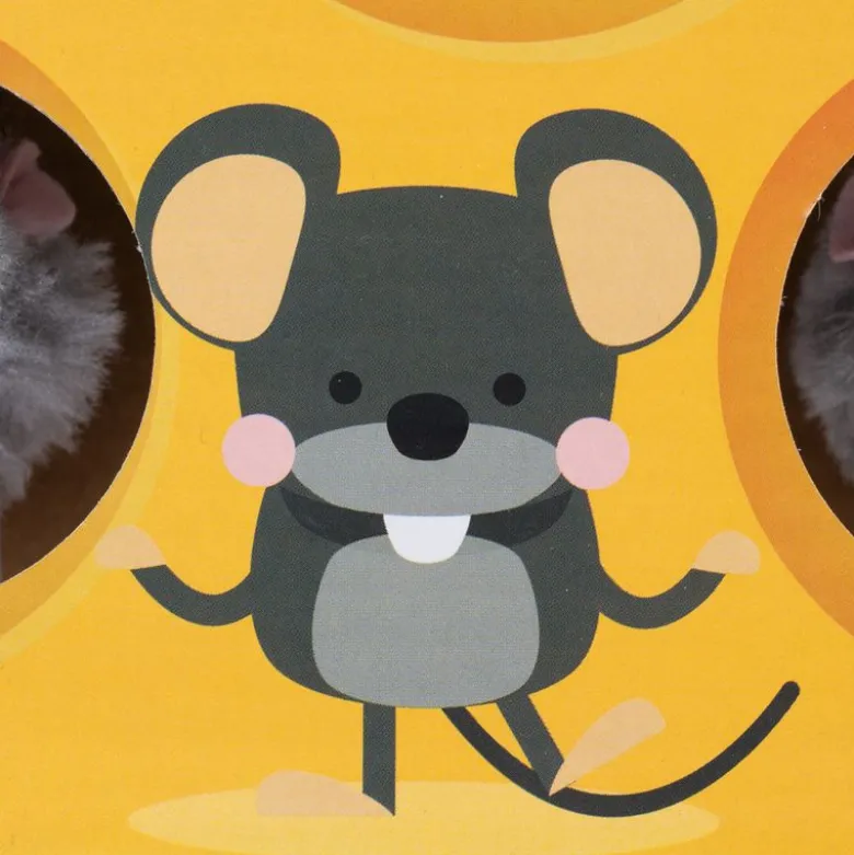 TIAKI Whack-a-mole 2 in 1 -kissanlelu