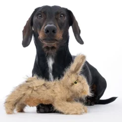 TIAKI Wild Rabbit -koiranlelu