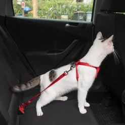 Trixie-autovaljaat kissalle