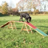Trixie Dog Activity Agility -puomi