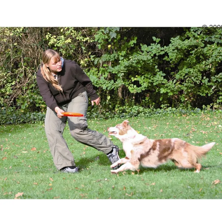 Trixie Dog Activity Disc