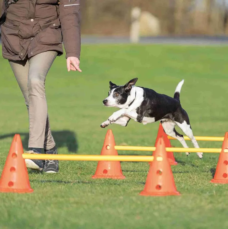 Trixie Dog Activity -esteet, 3 kpl