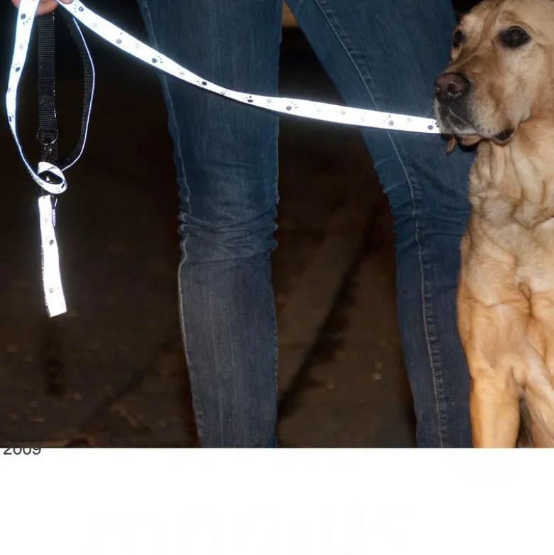 Trixie Silver Reflective Paws -heijastinhihna