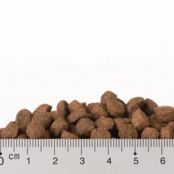 Tutustumispaketti: Purizon 400 g & Cosma Nature 6 x 70 g