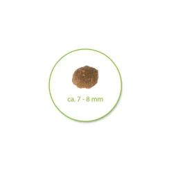 Tutustumispaketti: Purizon 400 g & Cosma Nature 6 x 70 g