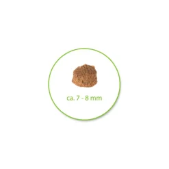 Tutustumispaketti: Purizon 400 g & Cosma Nature 6 x 70 g