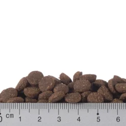 Tutustumispaketti: Purizon 400 g & Cosma Nature 6 x 70 g