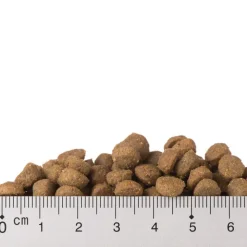Tutustumispaketti: Purizon 400 g & Cosma Nature 6 x 70 g
