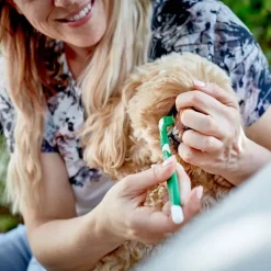 Vet's Best® -hammashoitosetti koirille
