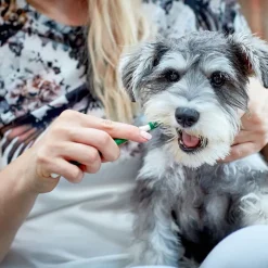 Vet's Best® -hammashoitosetti koirille