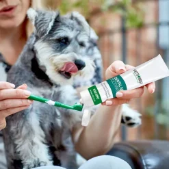 Vet's Best® -hammashoitosetti koirille