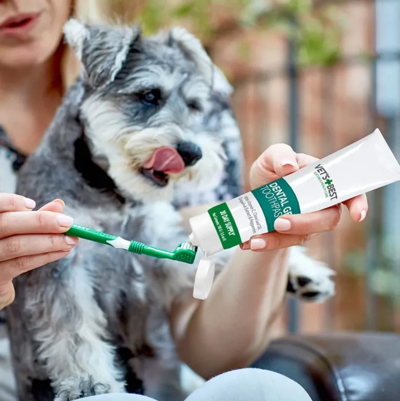Vet's Best® -hammashoitosetti koirille