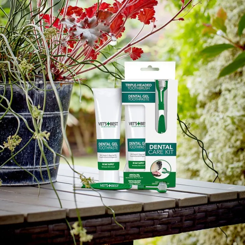 Vet's Best® -hammashoitosetti koirille