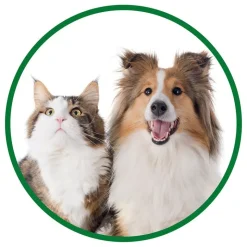Vet's Best® -sormihammasharjat