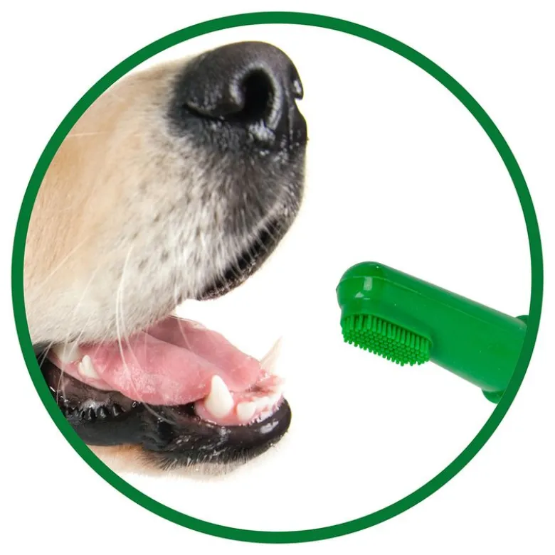 Vet's Best® -sormihammasharjat