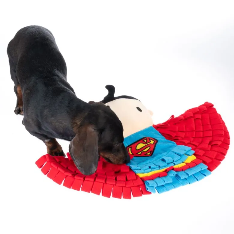 Warner Bros.™ DC Superman -nuuskumatto