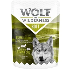 Wolf of Wilderness Adult -kokeilupakkaus