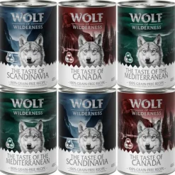 Wolf of Wilderness Adult -kokeilupakkaus