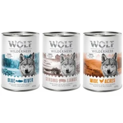 Wolf of Wilderness Adult -kokeilupakkaus