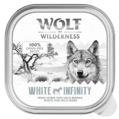 Wolf of Wilderness Adult -säästöpakkaus 24 x 300 g