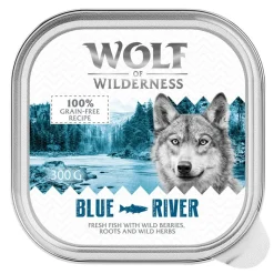 Wolf of Wilderness Adult -säästöpakkaus 24 x 300 g