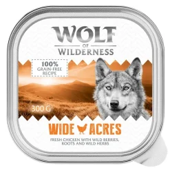 Wolf of Wilderness Adult -säästöpakkaus 24 x 300 g