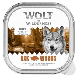 Wolf of Wilderness Adult -säästöpakkaus 24 x 300 g