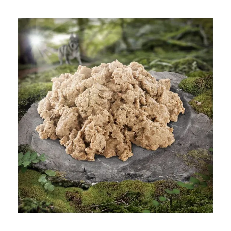 Wolf of Wilderness Adult -säästöpakkaus 12 x 400 g