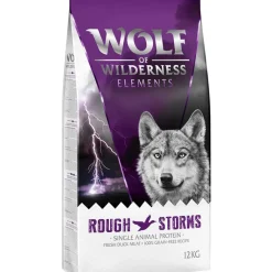 Wolf of Wilderness 