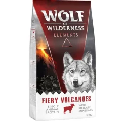 Wolf of Wilderness 