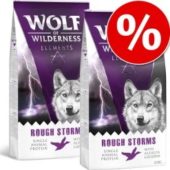 Wolf of Wilderness 