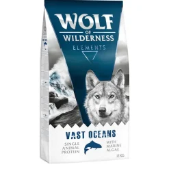 Wolf of Wilderness 