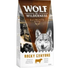 Wolf of Wilderness 