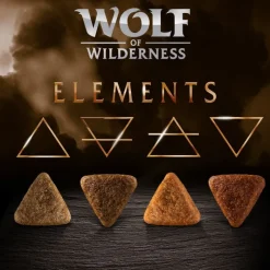 Wolf of Wilderness 