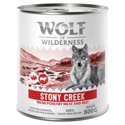 Wolf of Wilderness 