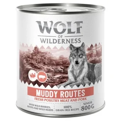 Wolf of Wilderness 