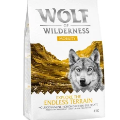 Wolf of Wilderness 