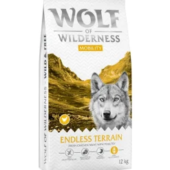 Wolf of Wilderness 