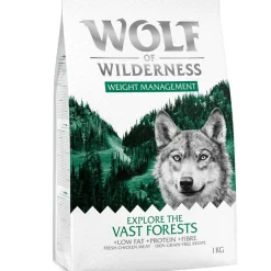 Wolf of Wilderness 