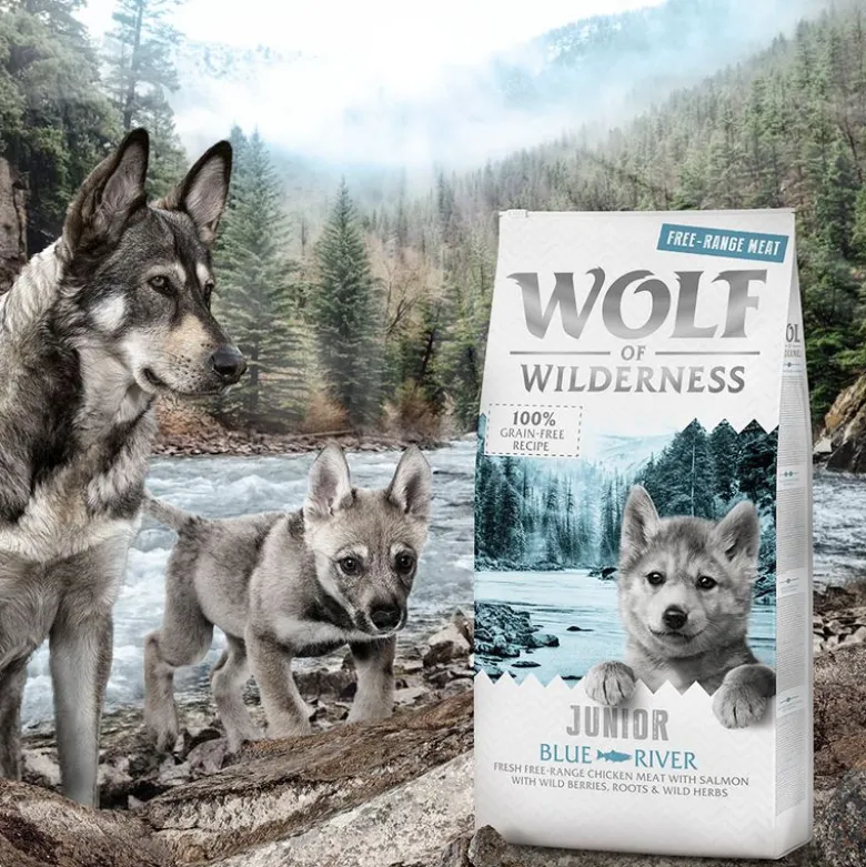 Wolf of Wilderness Junior "Blue River" – vapaana kasvanut kana & lohi