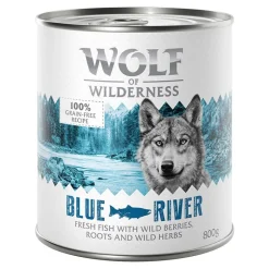 Wolf of Wilderness -megapakkaus 24 x 800 g