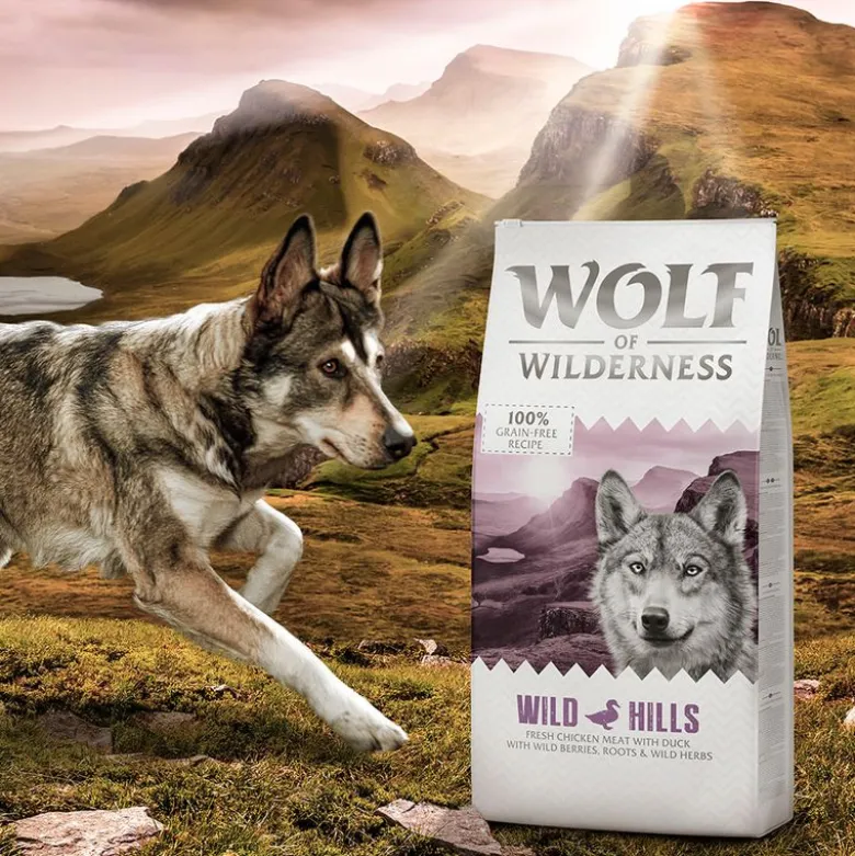 Wolf of Wilderness Mini "Wild Hills" – ankka