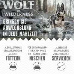 Wolf of Wilderness