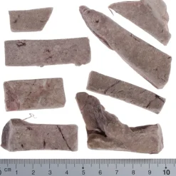 Wolf of Wilderness -sekoitus: kylmäkuivatut herkut