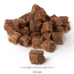 Wolf of Wilderness Snack – Wild Bites 180 g