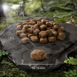 Wolf of Wilderness Soft - säästöpakkaus 2 x 12 kg