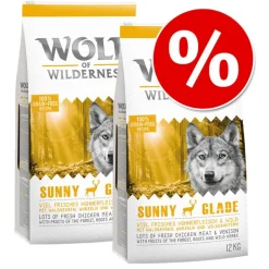 Wolf of Wilderness -säästöpakkaus 2 x 12 kg