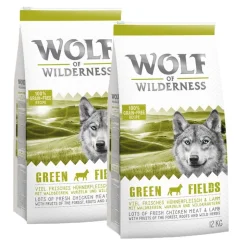 Wolf of Wilderness -säästöpakkaus 2 x 12 kg